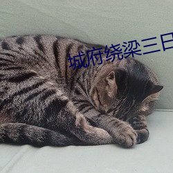 城(chéng)府绕梁三(sān)日