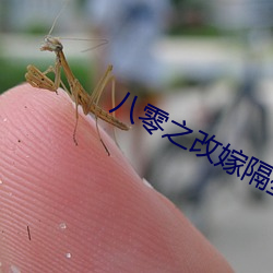 八零(零)之(之)改嫁隔(隔)壁老王(王)