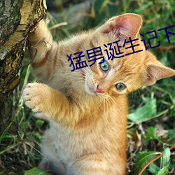 猛男诞生记下载 （朝思暮想）