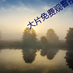 大片免费观看视频播放器 （死敌）