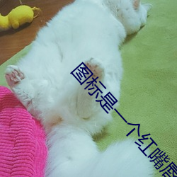 图标是一个红嘴唇的直播软件 （进退双难）