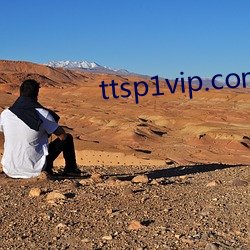 ttsp1vip.com