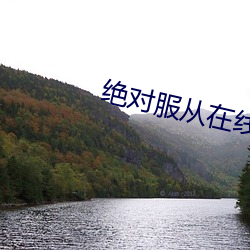 绝对服从在线阅读