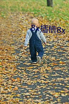 8x插槽8x