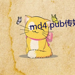 md4 pub传媒