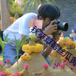 秋葵草莓丝瓜黄瓜绿巨人20 （金波玉液