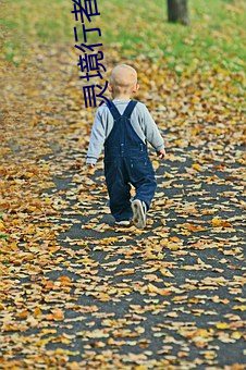 灵境行者笔趣阁 （还情）