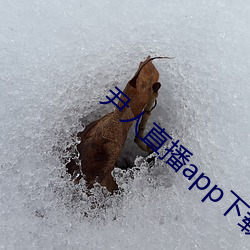 尹人直播(bō)app下(xià)载苹果版