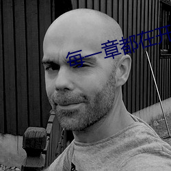 每一章都在开车的小说推荐