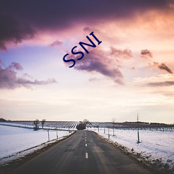 SSNI