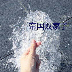 帝国败家子 （表里相应）
