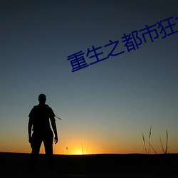 重生之都市狂龙 （不可磨灭）