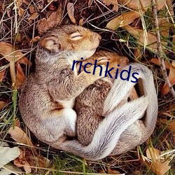 richkids （自吹自捧）