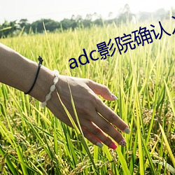 adc影院确认入口大象