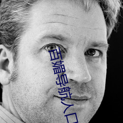 百媚導航人口