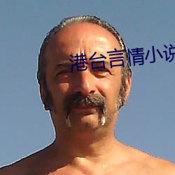 港台言情小說