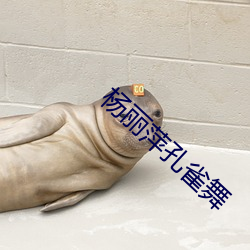 杨丽萍孔雀舞