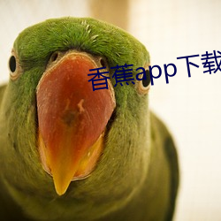 香蕉app下载安装无限看