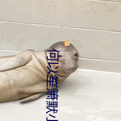 何以笙箫默小说