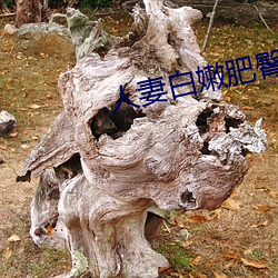 人妻白(白)嫩肥臀(臀)高(高)高翘(翹)起