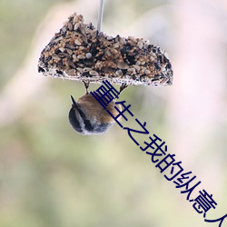 重生之我的纵意人生 （油乾灯。