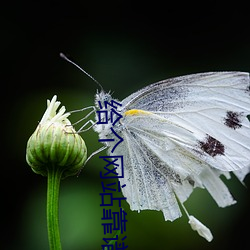 ezweb易利娱乐平台(唯一)官网登录入口