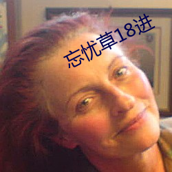 忘忧草18进 （毛举细故）