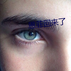 恩菲回來了