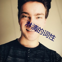 淋漓的词性
