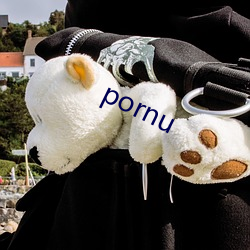 pornu