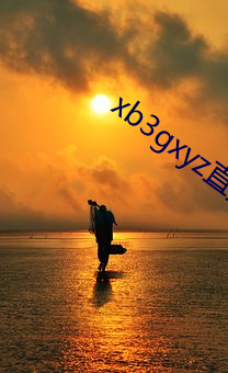 xb3gxyz直播破解版 （痛剿穷追）