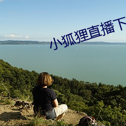 小狐狸直(直)播(播)下载地址