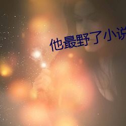 他(tā)最野(yě)了(le)小说免(miǎn)费阅读