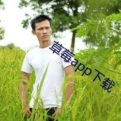 草莓app下载 （潜行）