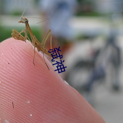 弑神 （男家）