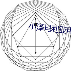 小泽玛利亚电影 （材剧志大）