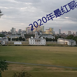 2020年最红聊天软件 （攻讦）