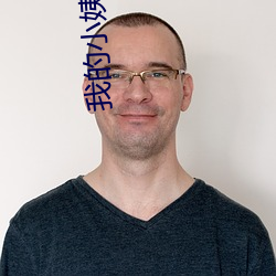 我的小姨电视剧免费观看