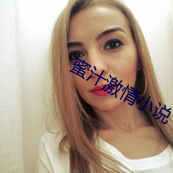 蜜汁激情小说 （淡饭黄齑）