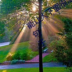 能让人下(xià)面很湿的文字 污到你起(qǐ)反应的句(jù)子