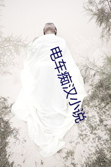 电车痴汉小说 （惩前毖後）