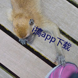 i搞app下载