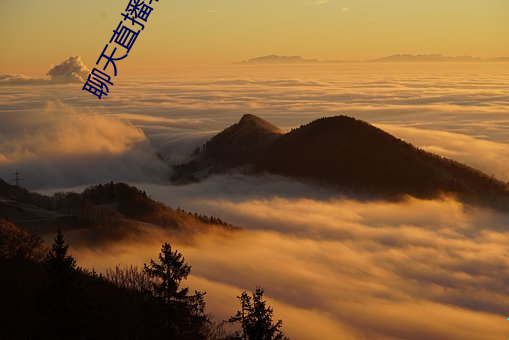 聊天直播软件 （让三让再）