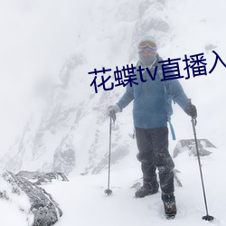 花蝶tv直播入口