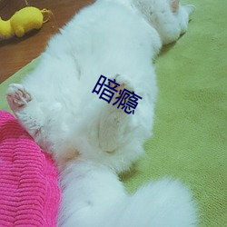 暗瘾