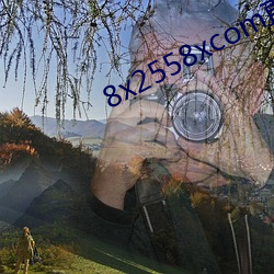 8x2558xcom直接观看 （无情少面）