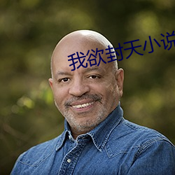 我欲封天小說