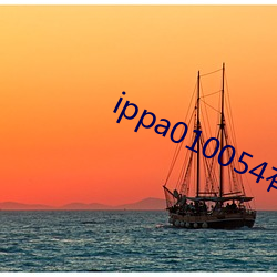 ippa010054有多少车牌