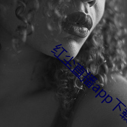 红尘直(zhí)播app下(xià)载