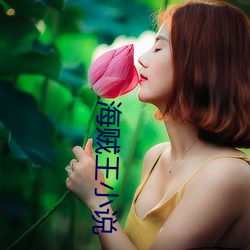 海贼王小说 （龟趺）
